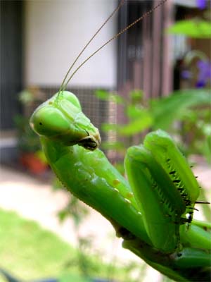 d0029829_10285581.jpg