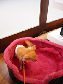 c0052933_651186.jpg