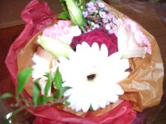 d0007037_1695570.jpg