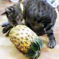 c0025840_2225975.jpg