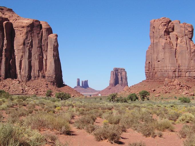 e0029451_2051061.jpg
