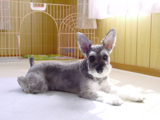 e0040067_2372357.jpg