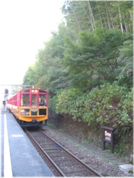 d0035269_0343448.jpg