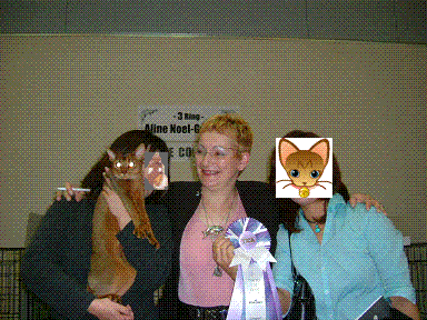 e0078269_11182112.gif