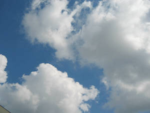 a0000273_1241221.gif
