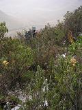 e0040591_6135280.jpg
