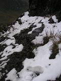 e0040591_6163762.jpg