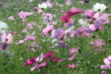 c0044199_2258071.jpg