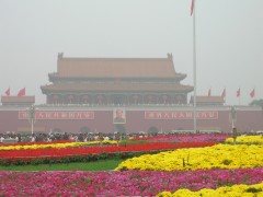 c0060603_1512548.jpg