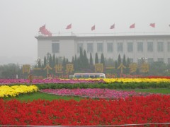 c0060603_1552471.jpg