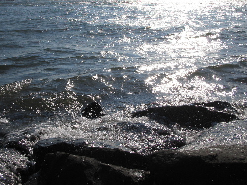 b0046210_2335090.jpg