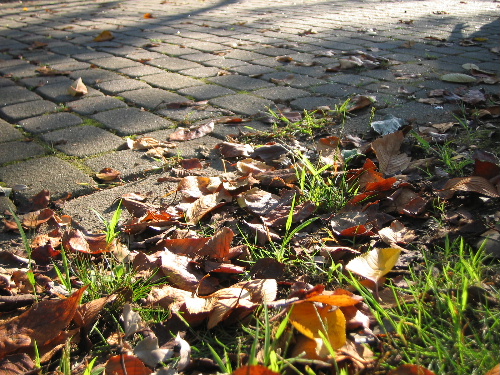 b0046210_23465513.jpg