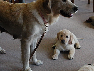 e0006018_2159611.jpg