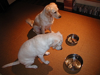 e0006018_2223971.jpg