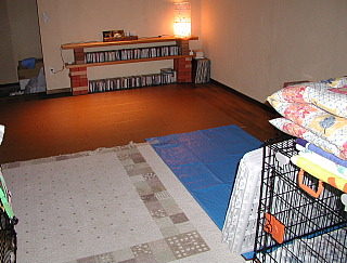 e0006018_22252130.jpg