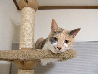 a0034419_1753513.jpg