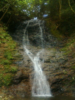 c0055123_1729939.jpg