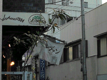 d0002224_2230777.jpg
