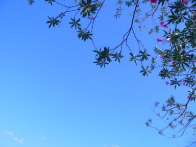 d0018131_6442887.jpg
