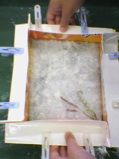 c0000134_23325367.jpg