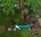 e0072542_10222635.gif