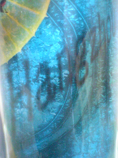e0011143_22135865.jpg