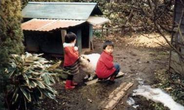 c0001660_847396.jpg