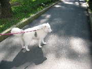 c0048160_0162142.jpg