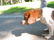 c0048160_06519.jpg
