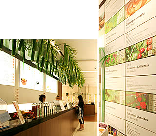 e0065268_1435729.jpg