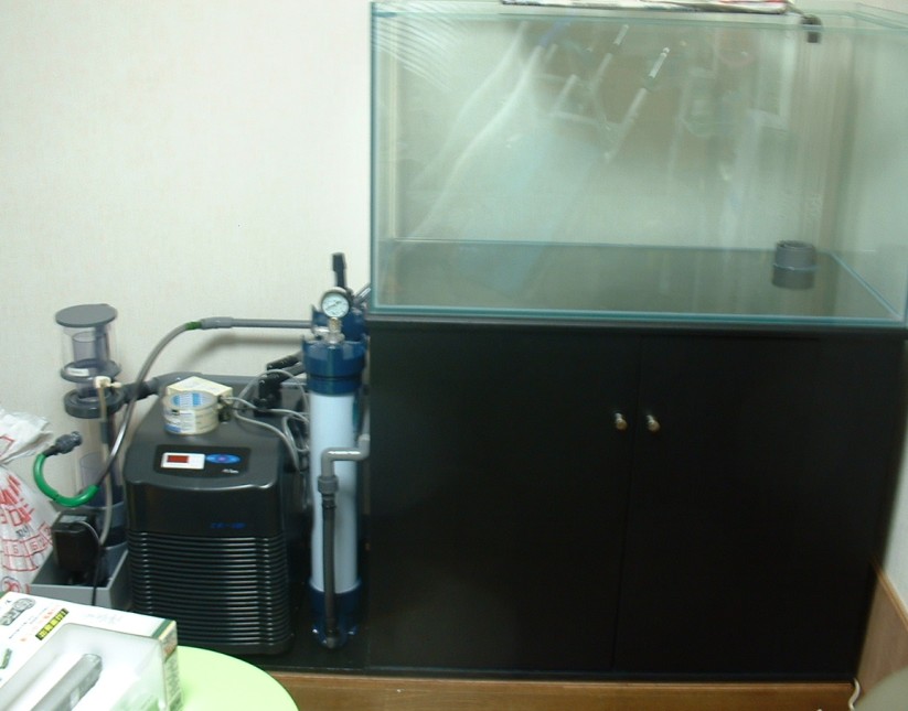 e0049877_21453570.jpg