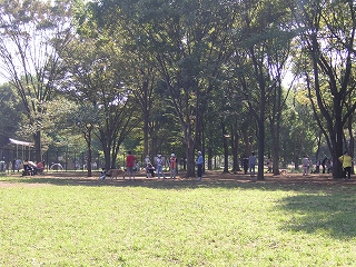 a0035678_13392969.jpg