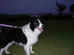 e0060288_21049.jpg