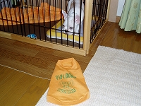 e0066099_043218.jpg