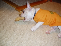 e0066099_044952.jpg