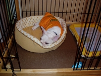 e0066099_0555.jpg