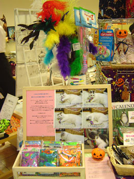 e0026704_3404269.jpg