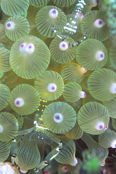 c0064907_1451356.jpg