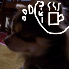 c0036617_1853820.jpg