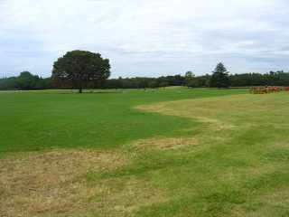 a0006321_14515615.jpg
