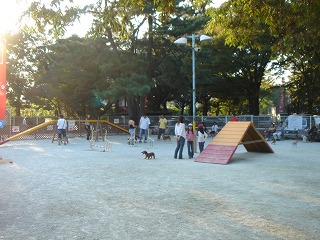 d0023323_2192953.jpg