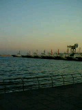b0035324_11444611.jpg