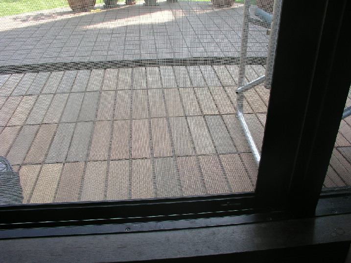 e0071225_2265593.jpg