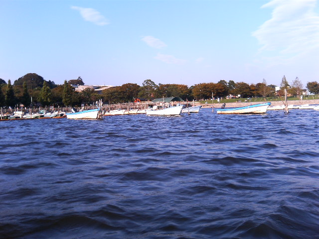 d0007734_944576.jpg
