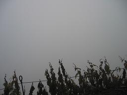 e0010134_18371848.jpg