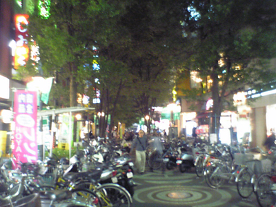 e0071440_3192362.jpg