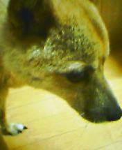 c0065643_1912413.jpg
