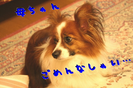 d0013149_09010.jpg