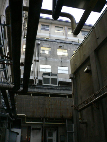 e0005553_2311483.jpg