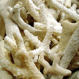 d0029958_20383183.jpg